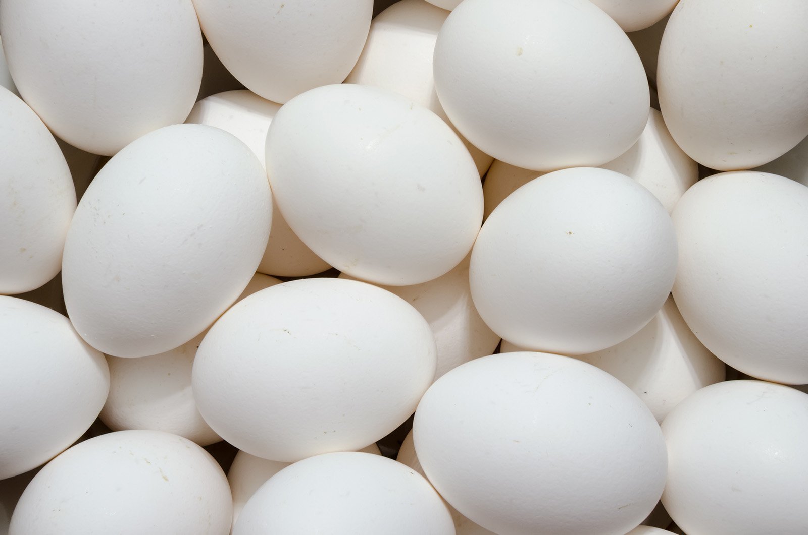 white eggs