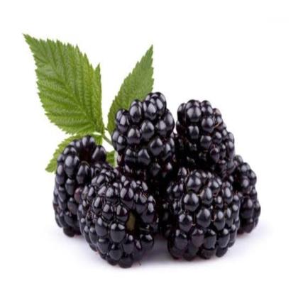 BLACKBERRIES THAI