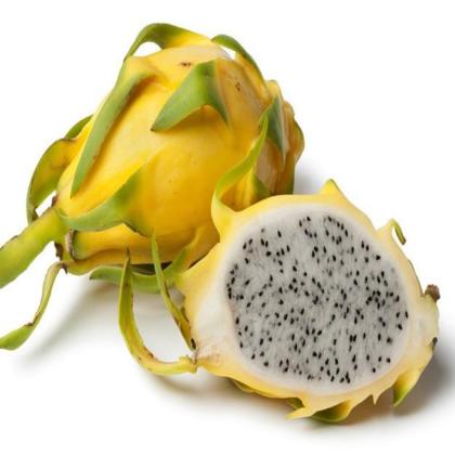 DRAGON FRUIT YELLOW THAI