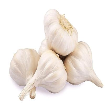 Fresh Garlic-100g