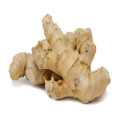 Fresh Ginger-100g