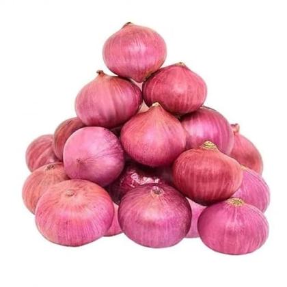 Fresh Onion-1kg