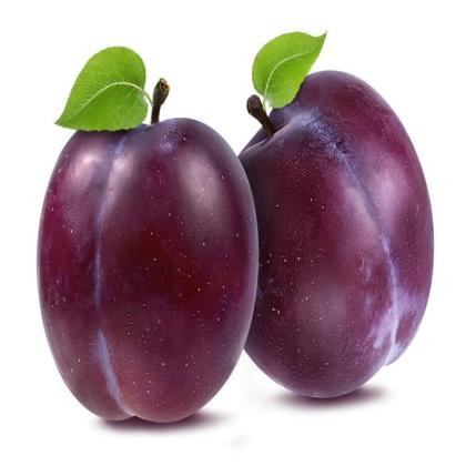 PLUMS IMPORTED